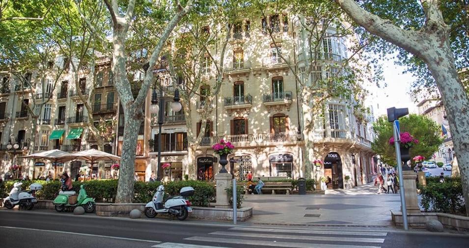 Comfortable With Character In The Old Town Apartment Palma